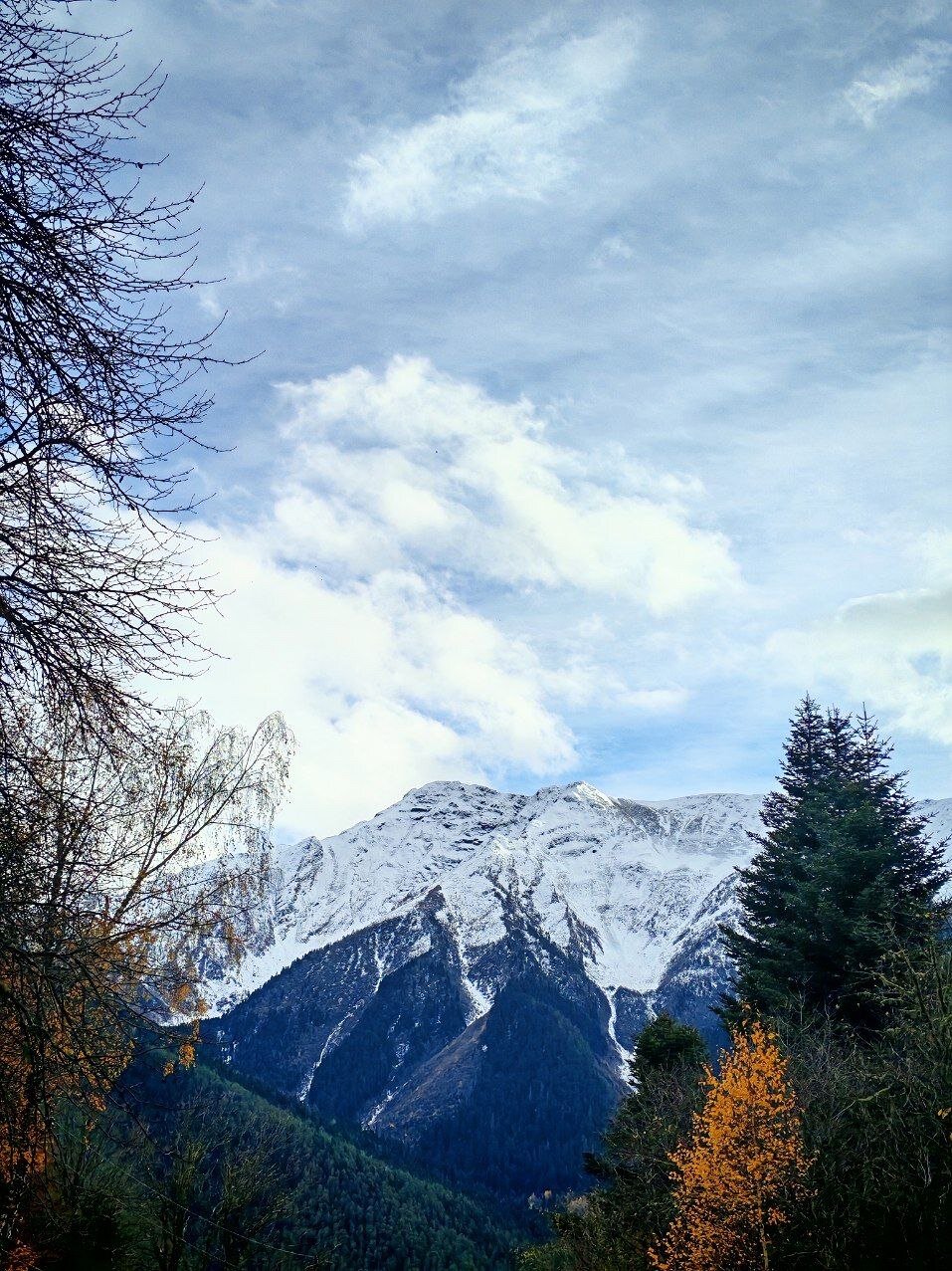 Фото Ness.village