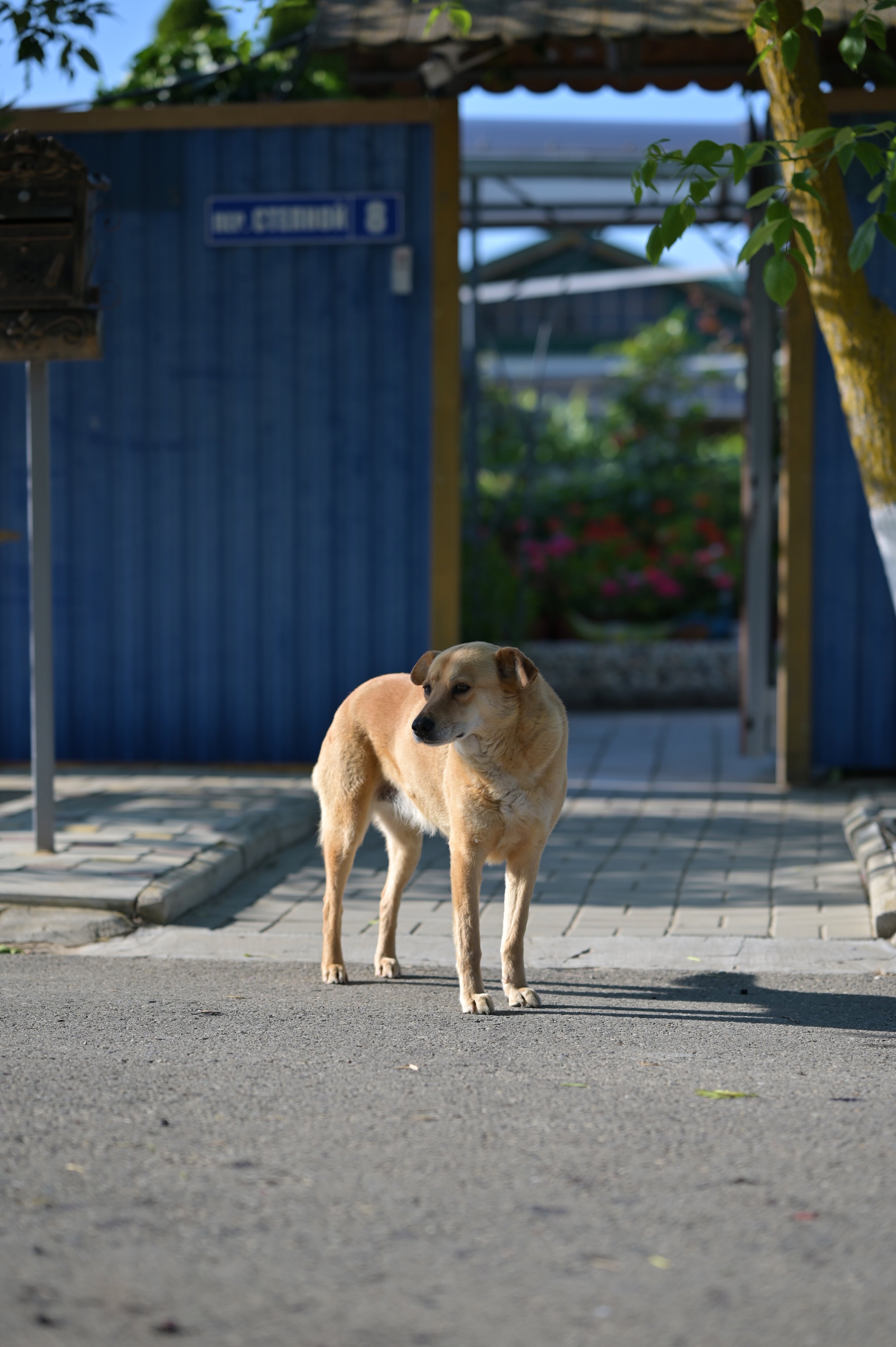 Фото Морское Небо