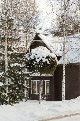 Гостиница Белый соболь в Байкальске