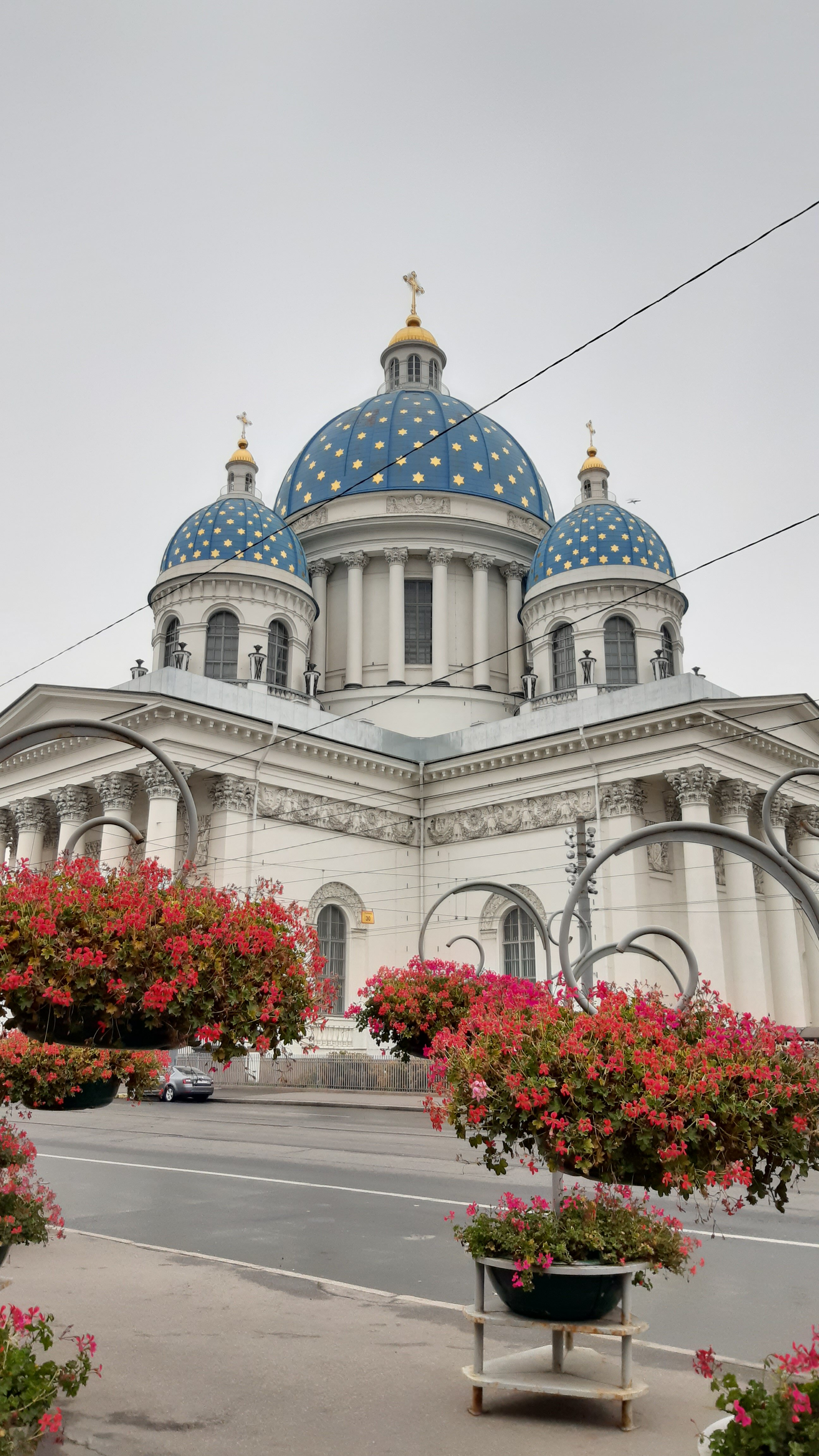 Фото Рапсодия