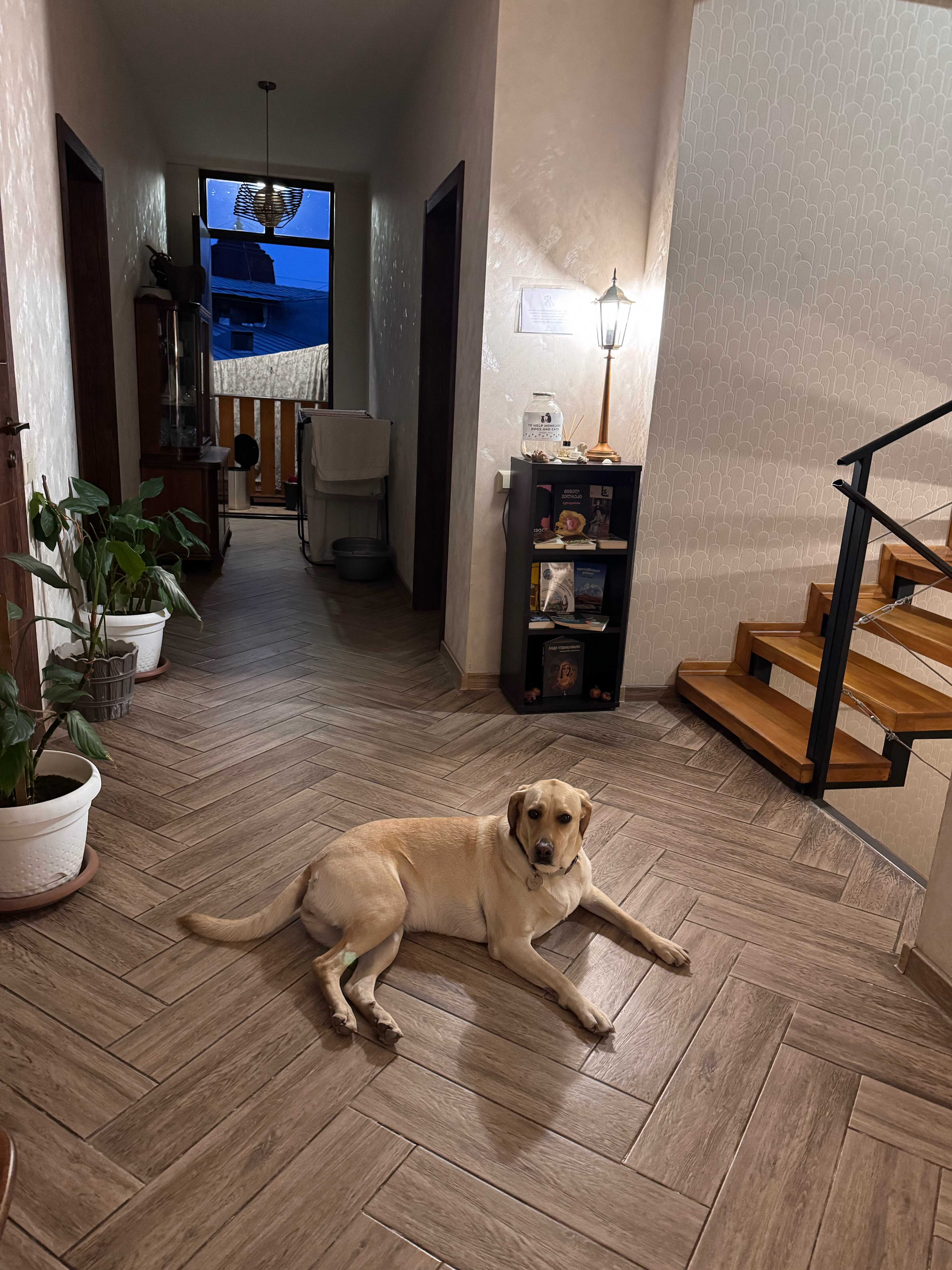 Фото Tbilisi Tales