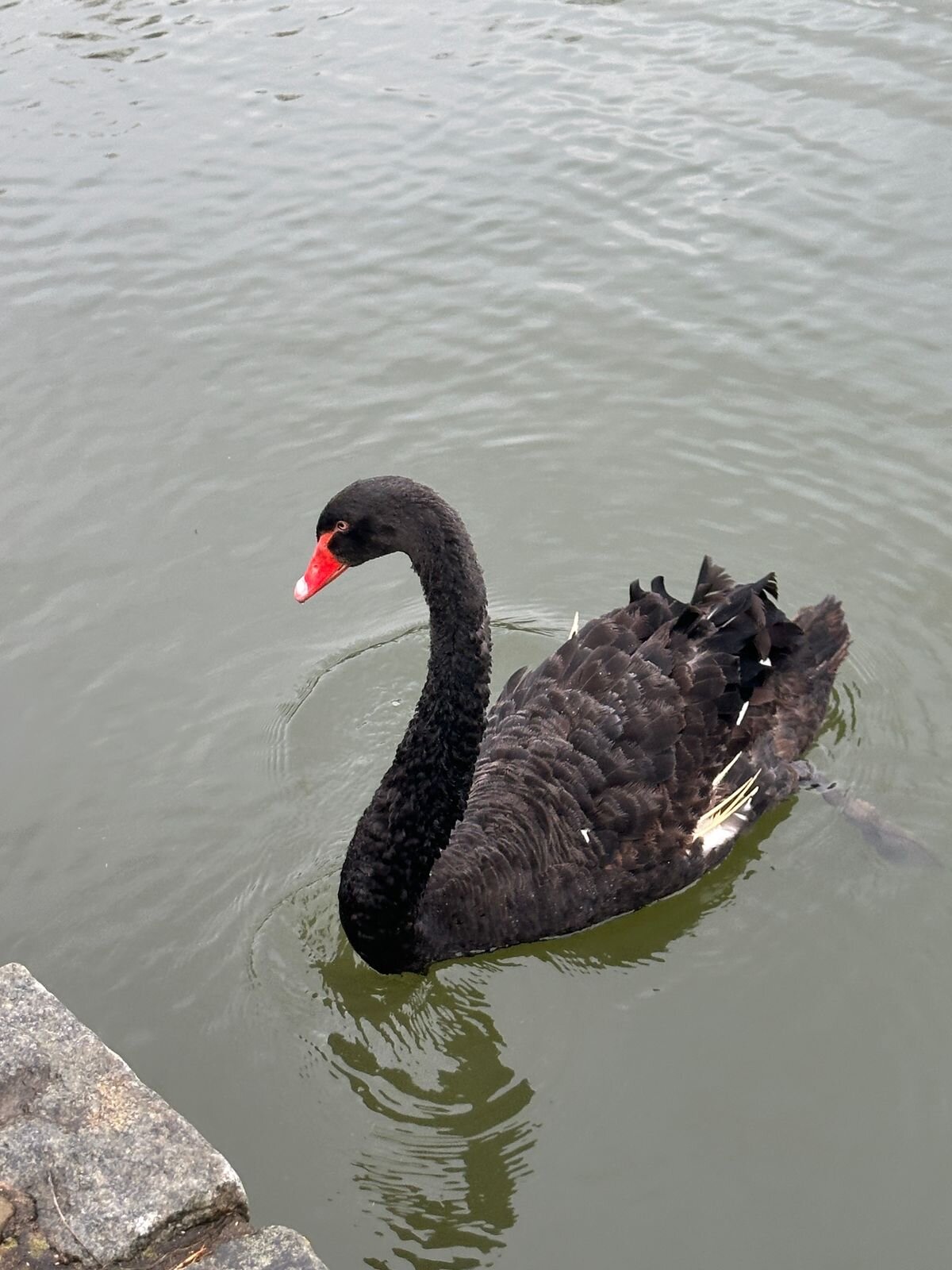 Фото Modom Village