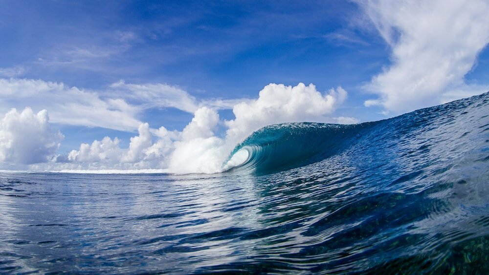 Фото Coconuts Beach Club Resort & SPA