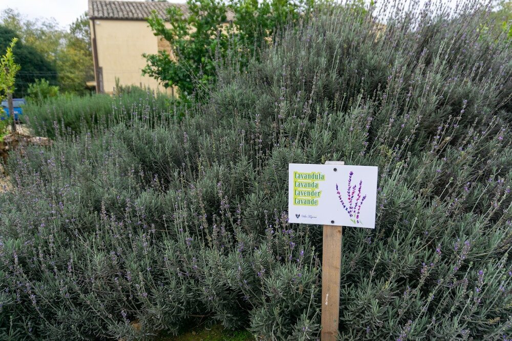 Фото Villa Trigona