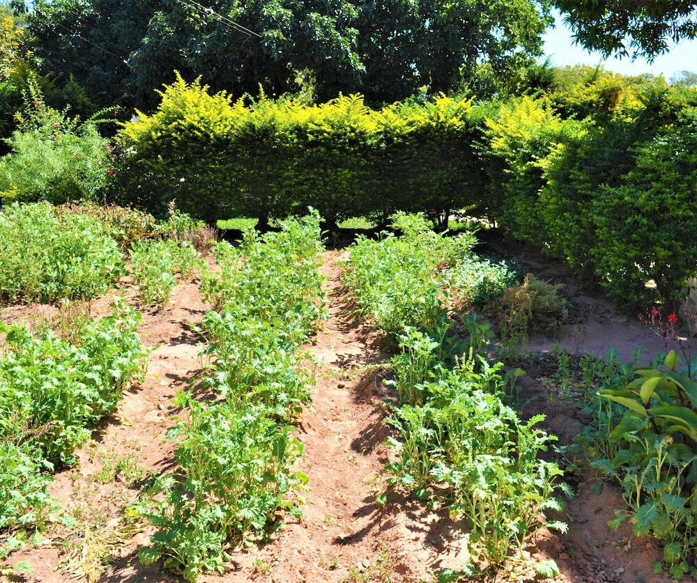 Фото Natwange Backpackers