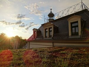 Гостиница Dormero Hotel Dresden City