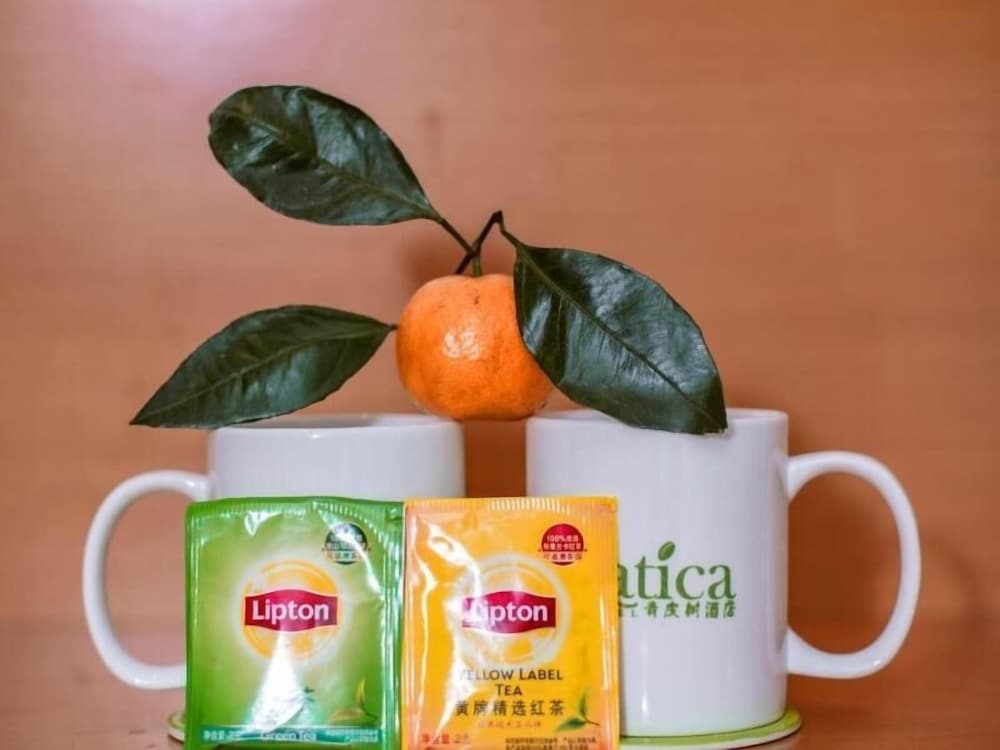 Фото Vatica ZaoZhuang TengZhou Railway Station Hotel