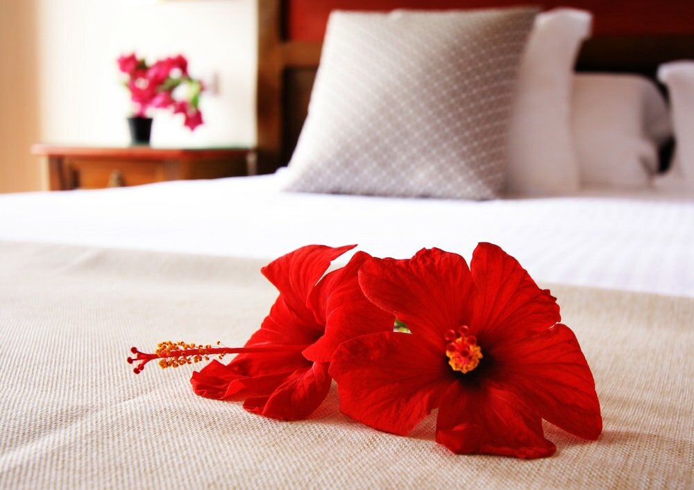 Фото Hotel Rural Finca de La Florida