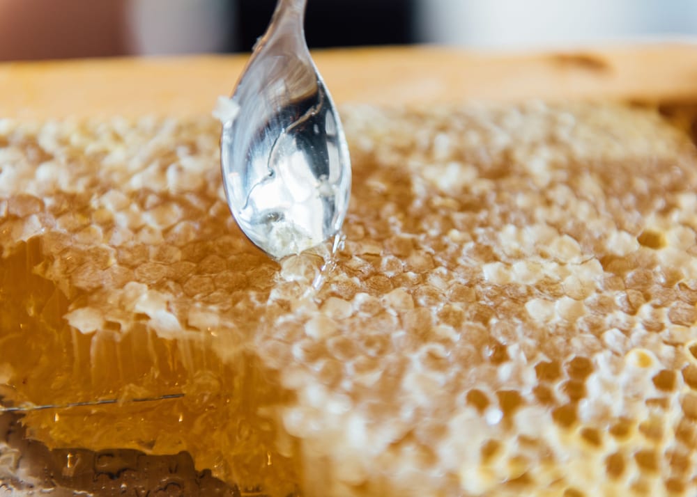 Фото Hotel Arcade