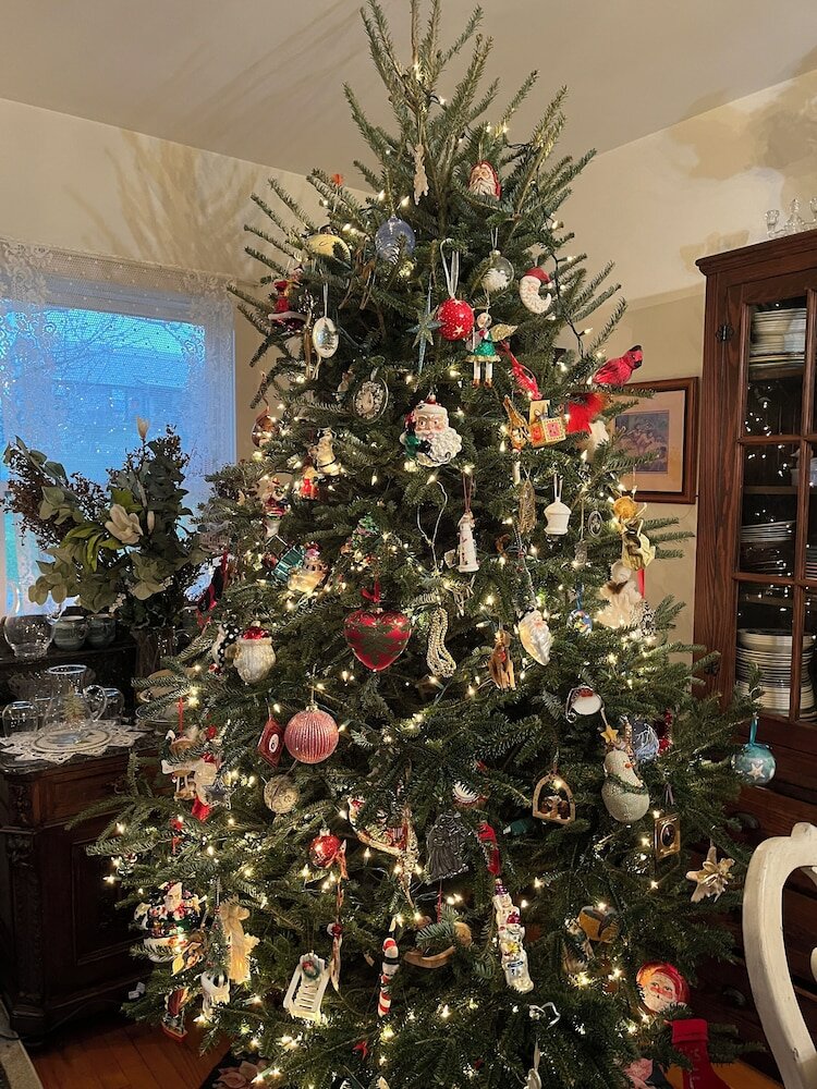 Фото Gardenview Bed and Breakfast