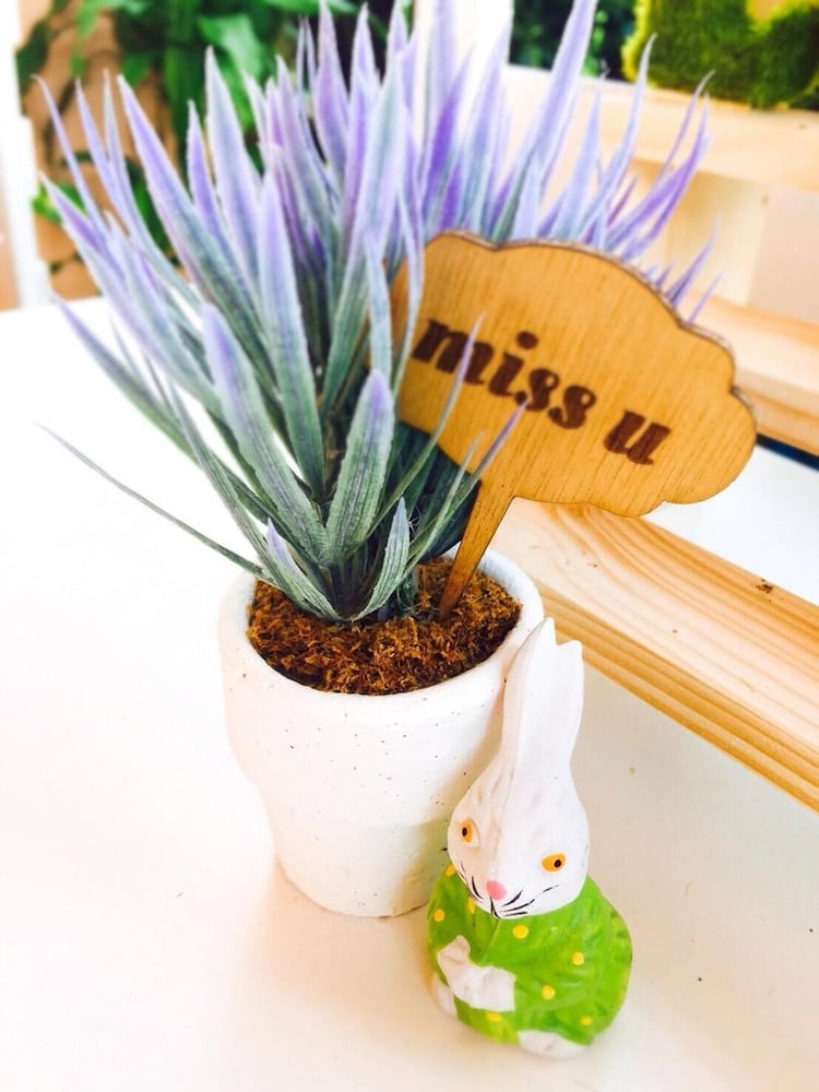 Фото Nt House Hotel