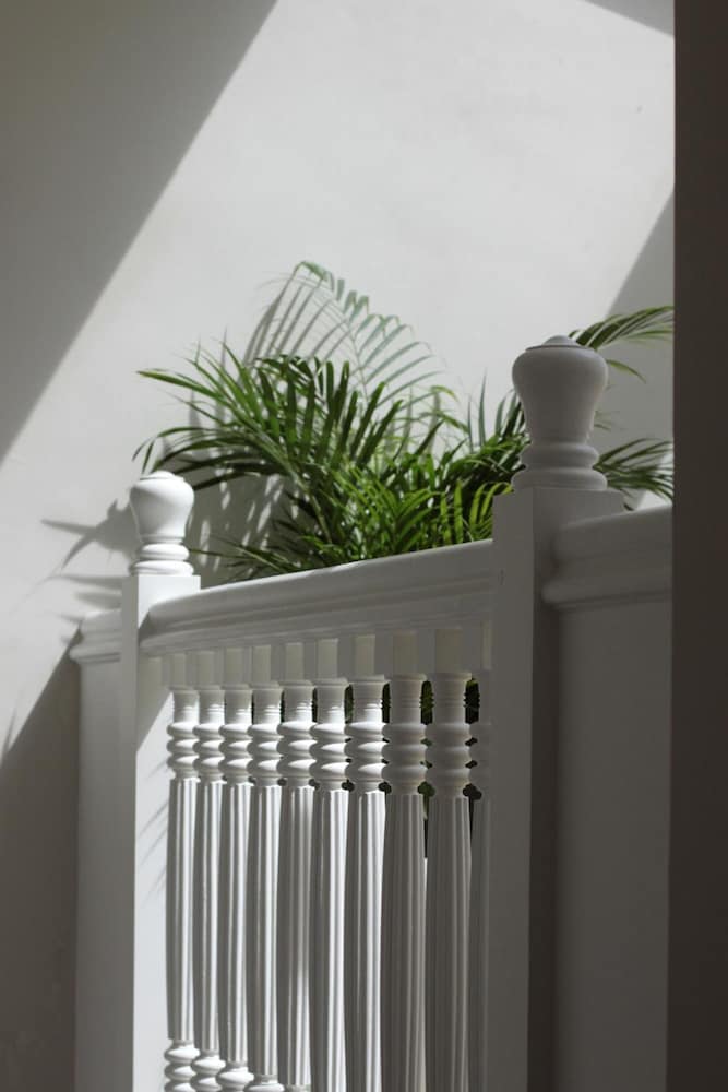 Фото Hotel Maitagaria