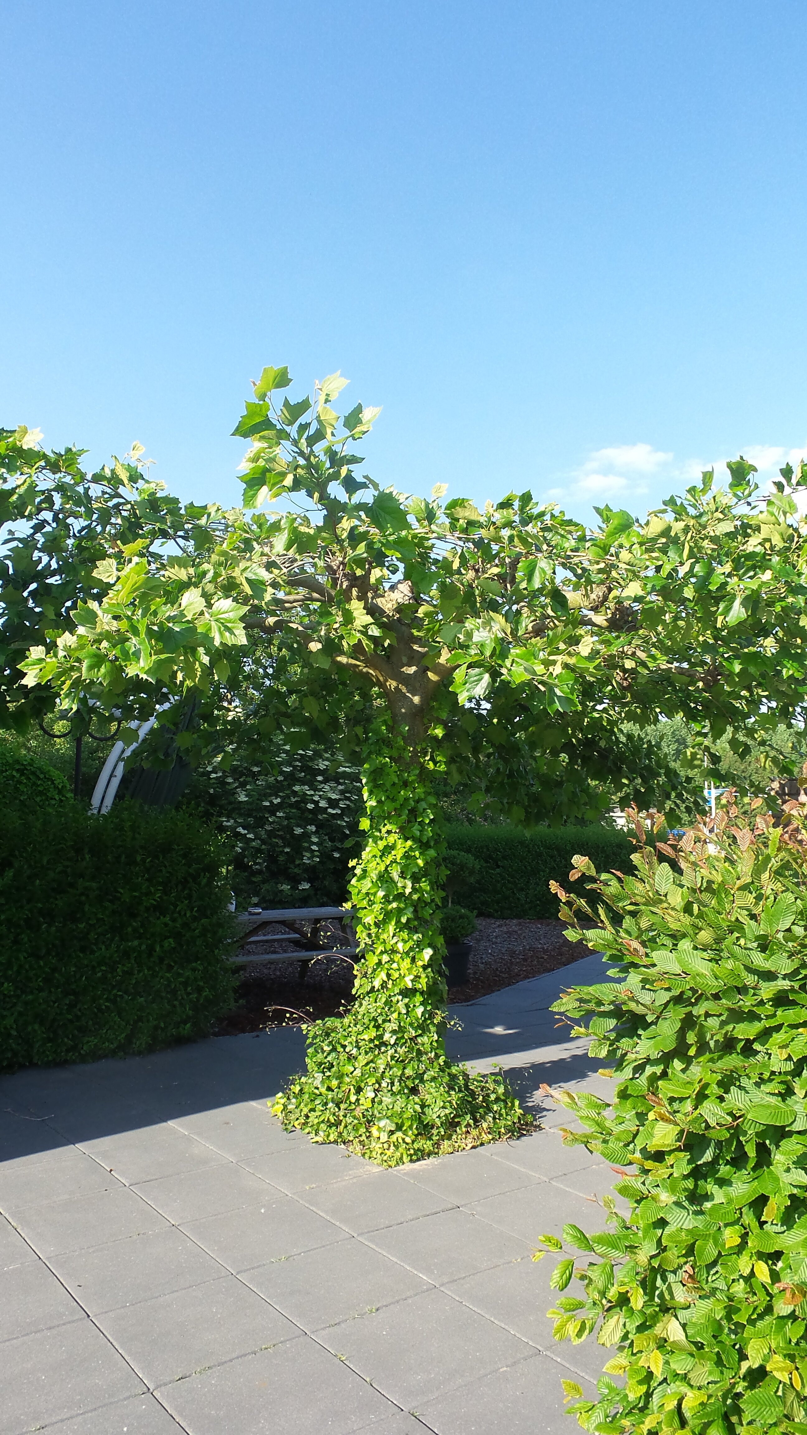 Фото Campanile Hotel Zevenaar - Arnhem