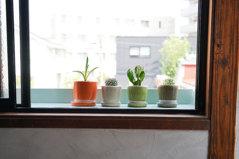 Фото Traditional Apartment - Hostel