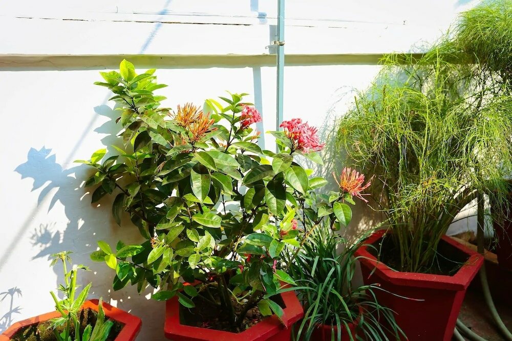 Фото Honolulu Home