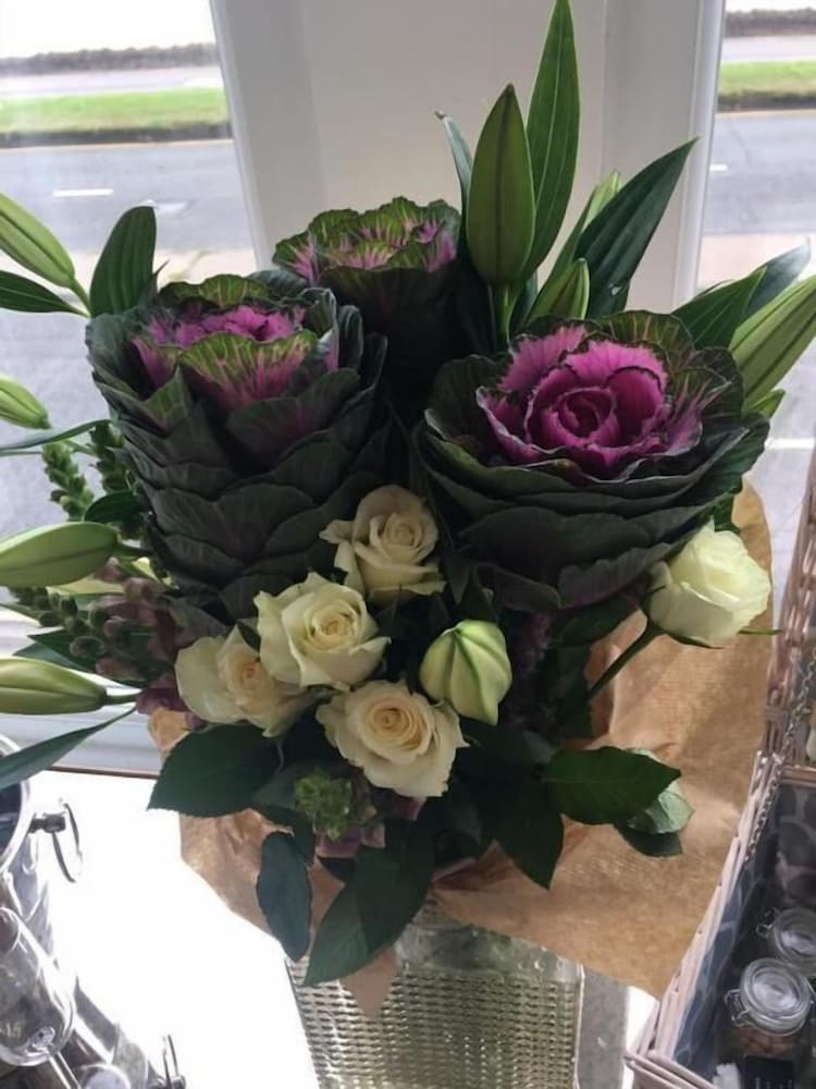 Фото The Music Fable