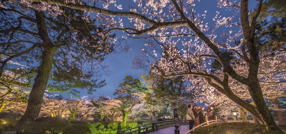 Фото Kanazawa Tokyu Hotel