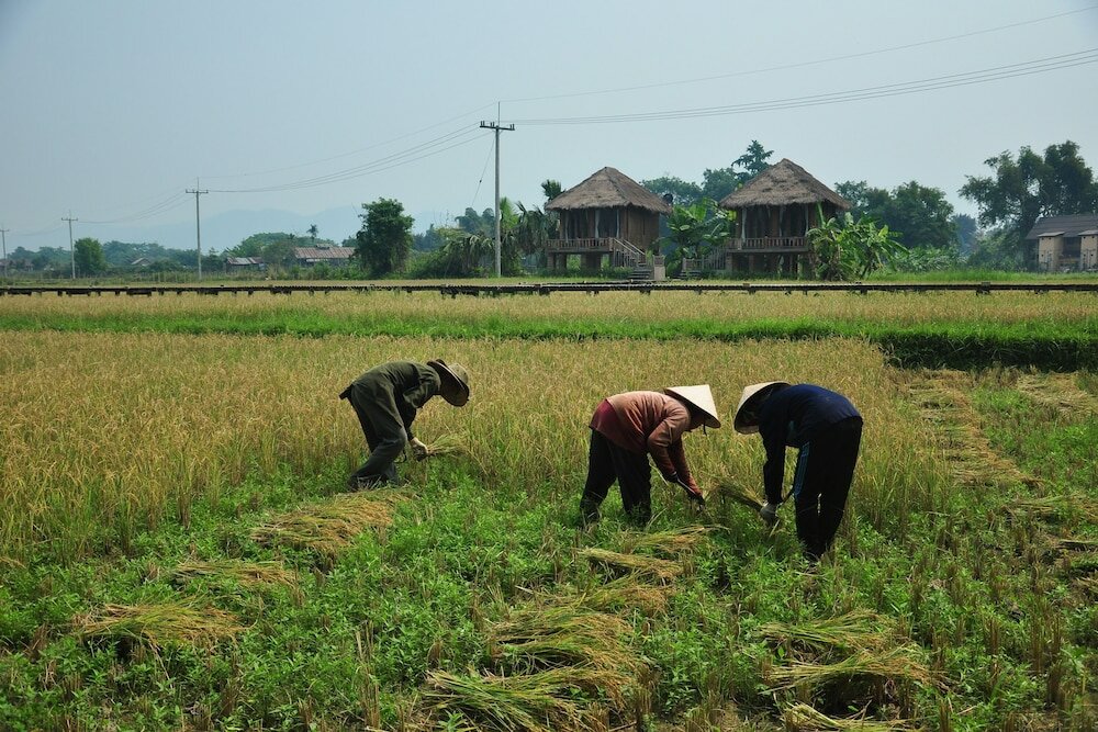Фото ViengTara VangVieng Resort