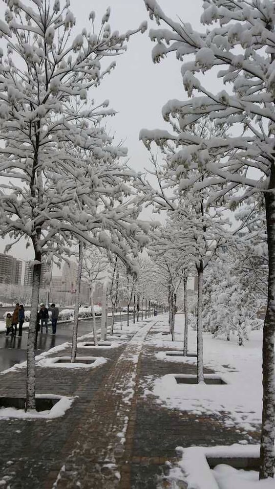 Фото Holiday Inn Express Ordos Dongshen, an Ihg Hotel