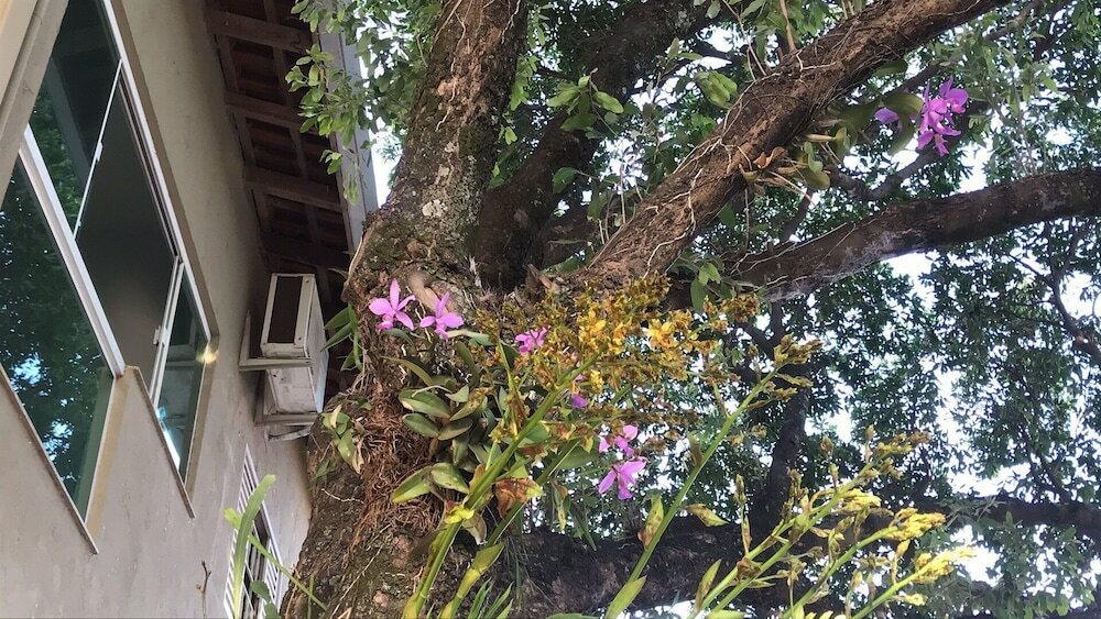 Фото Hotel Pousada Calliandra