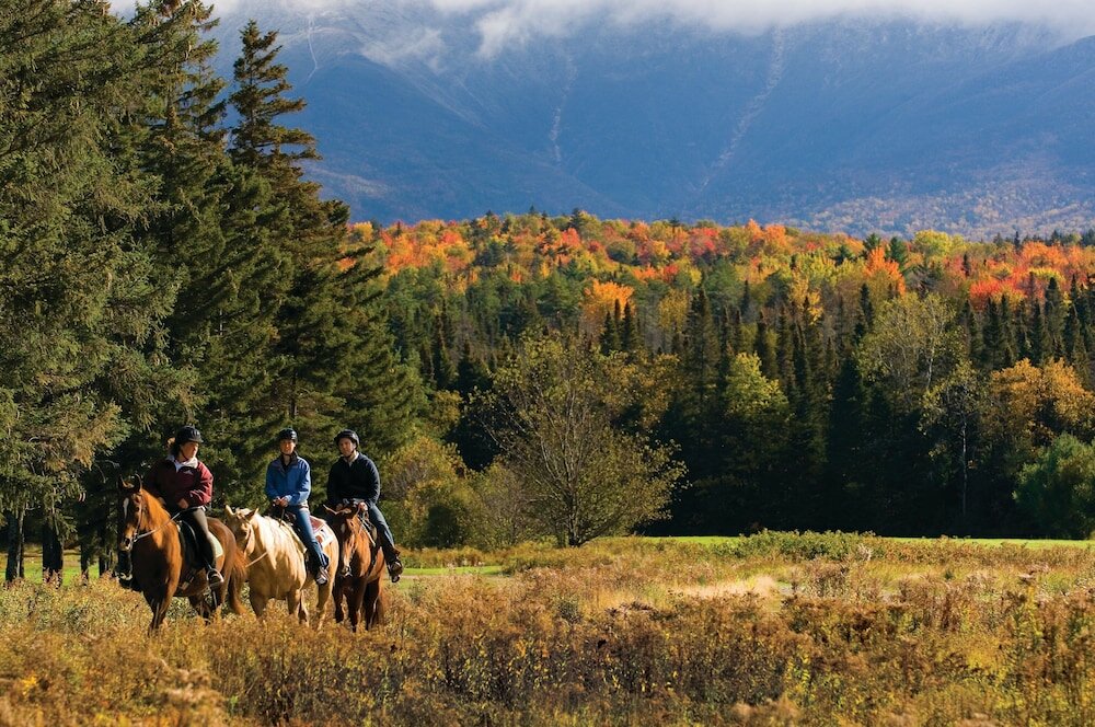 Фото Omni Mount Washington Resort