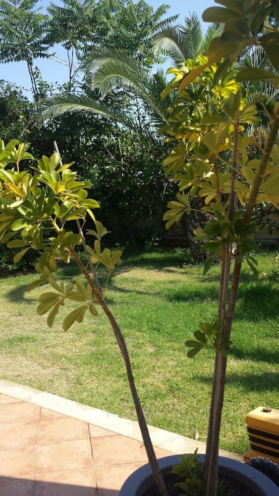 Фото Perla del Sole