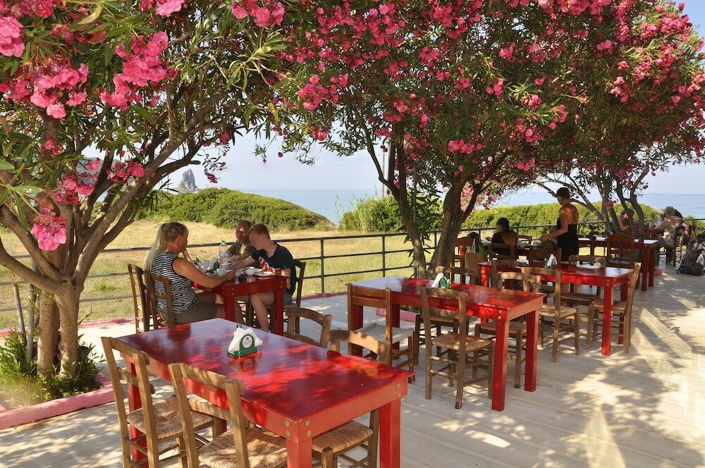 Фото The Pink Palace