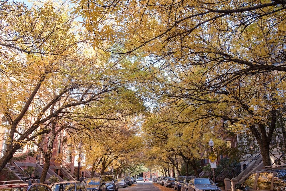 Фото Copley House