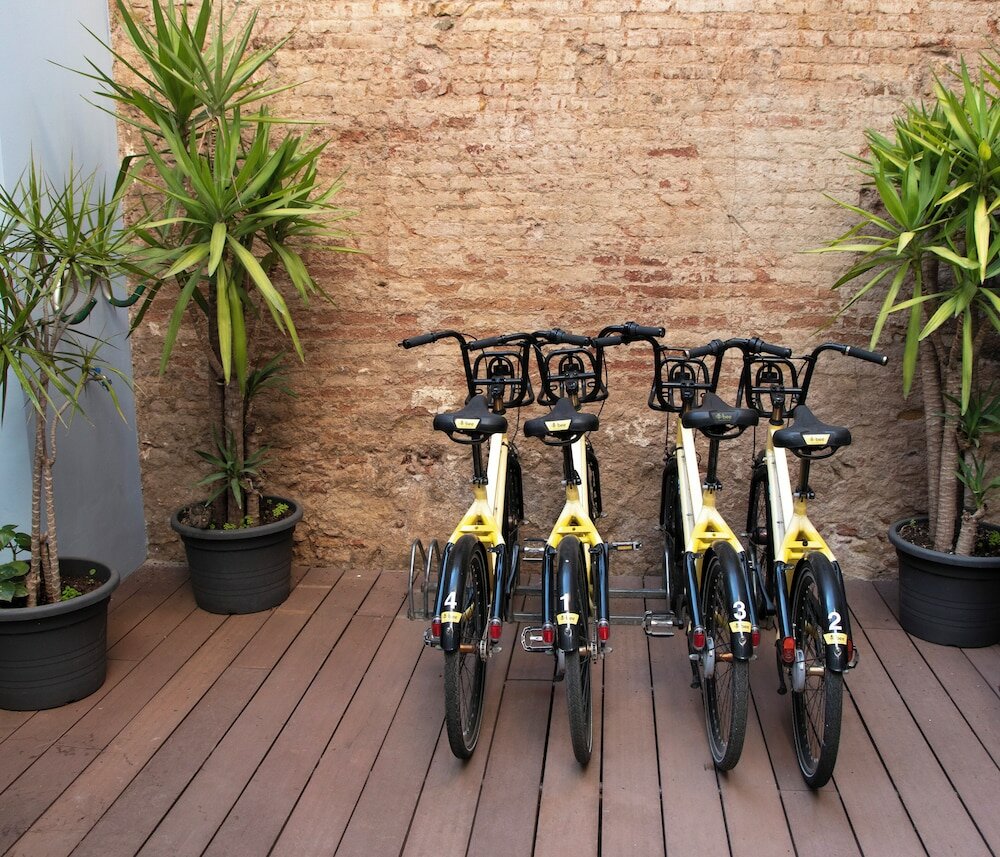 Фото Sant Jordi Gracia