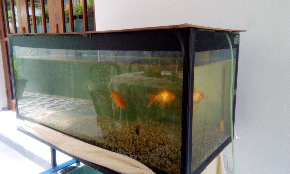 Фото Miracle Villa