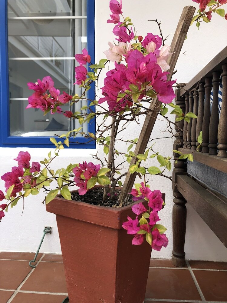 Фото BlueSky Guest House Arniston