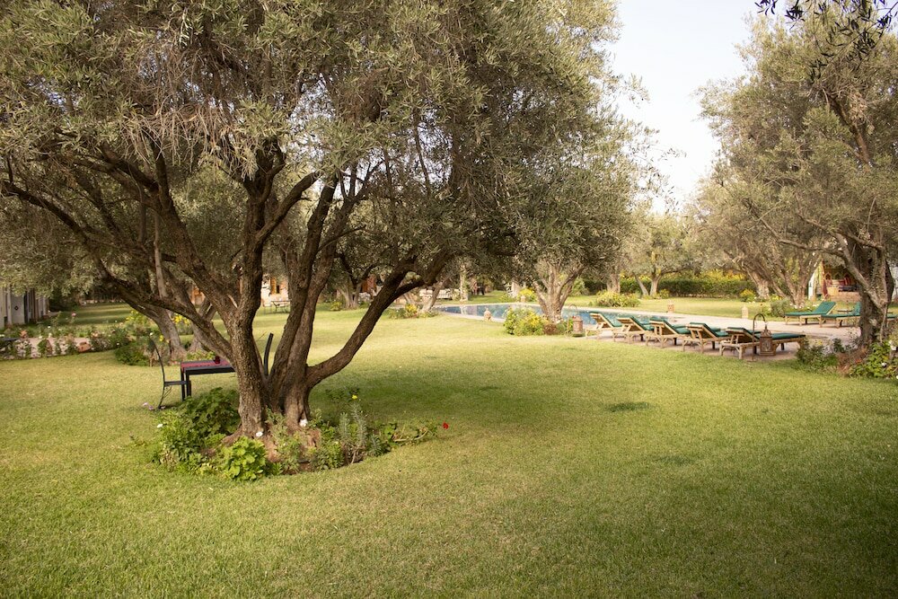 Фото GreenLife Marrakech