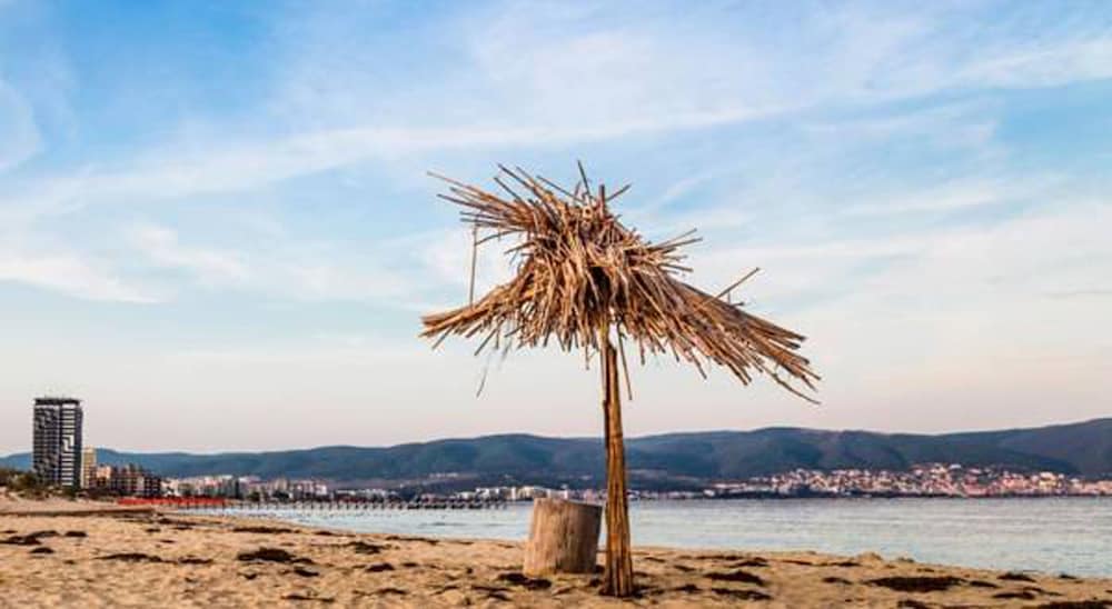 Фото Hotel Palma