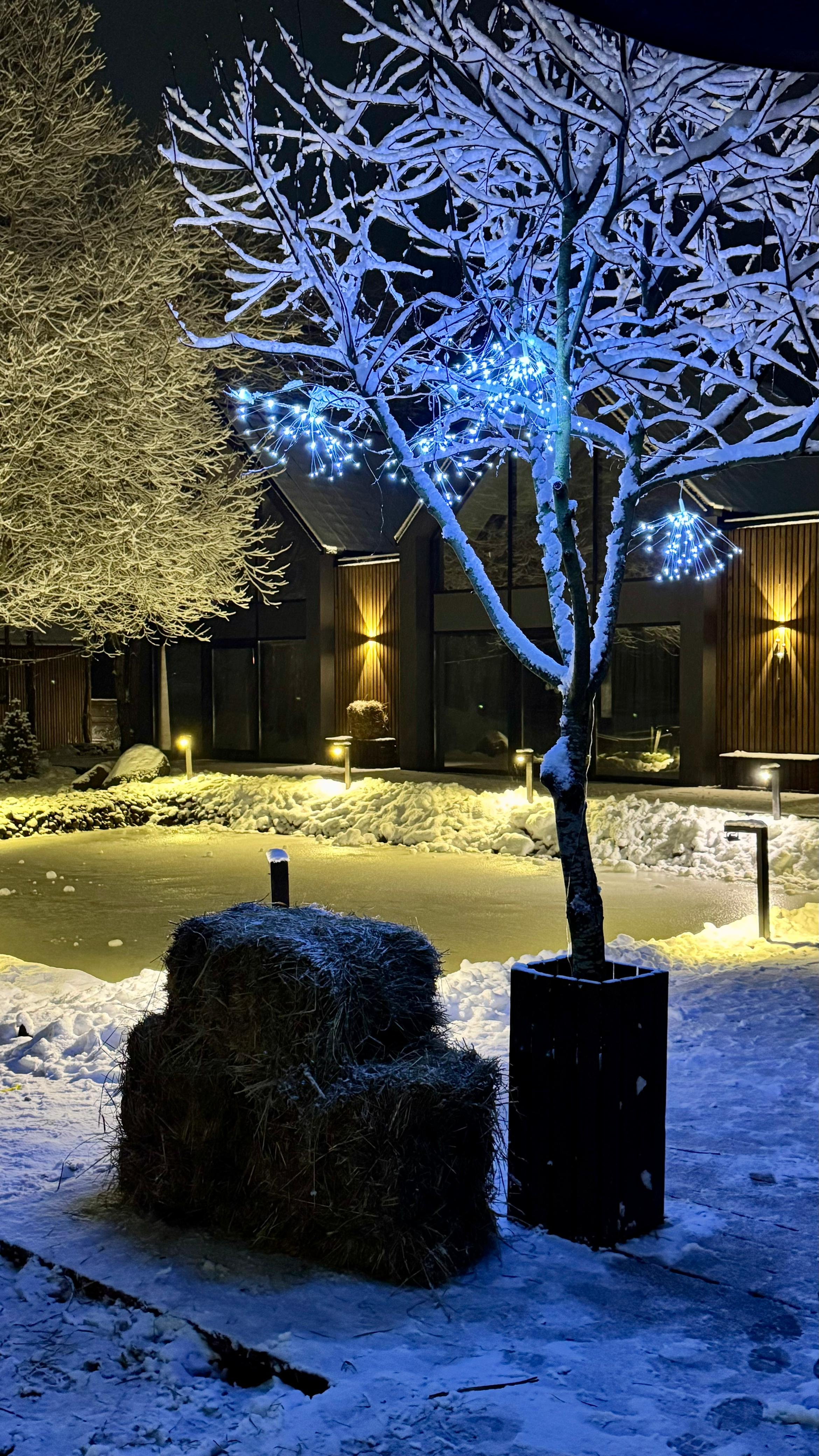 Фото Автограф Коробицыно