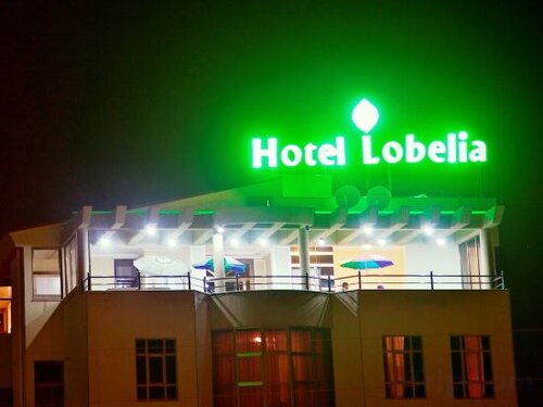 Внешний вид отеля Hotel Lobelia в Болэ, фото 1