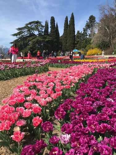 Гостевой дом Гостевой дом Прекрасная гавань в Черноморском