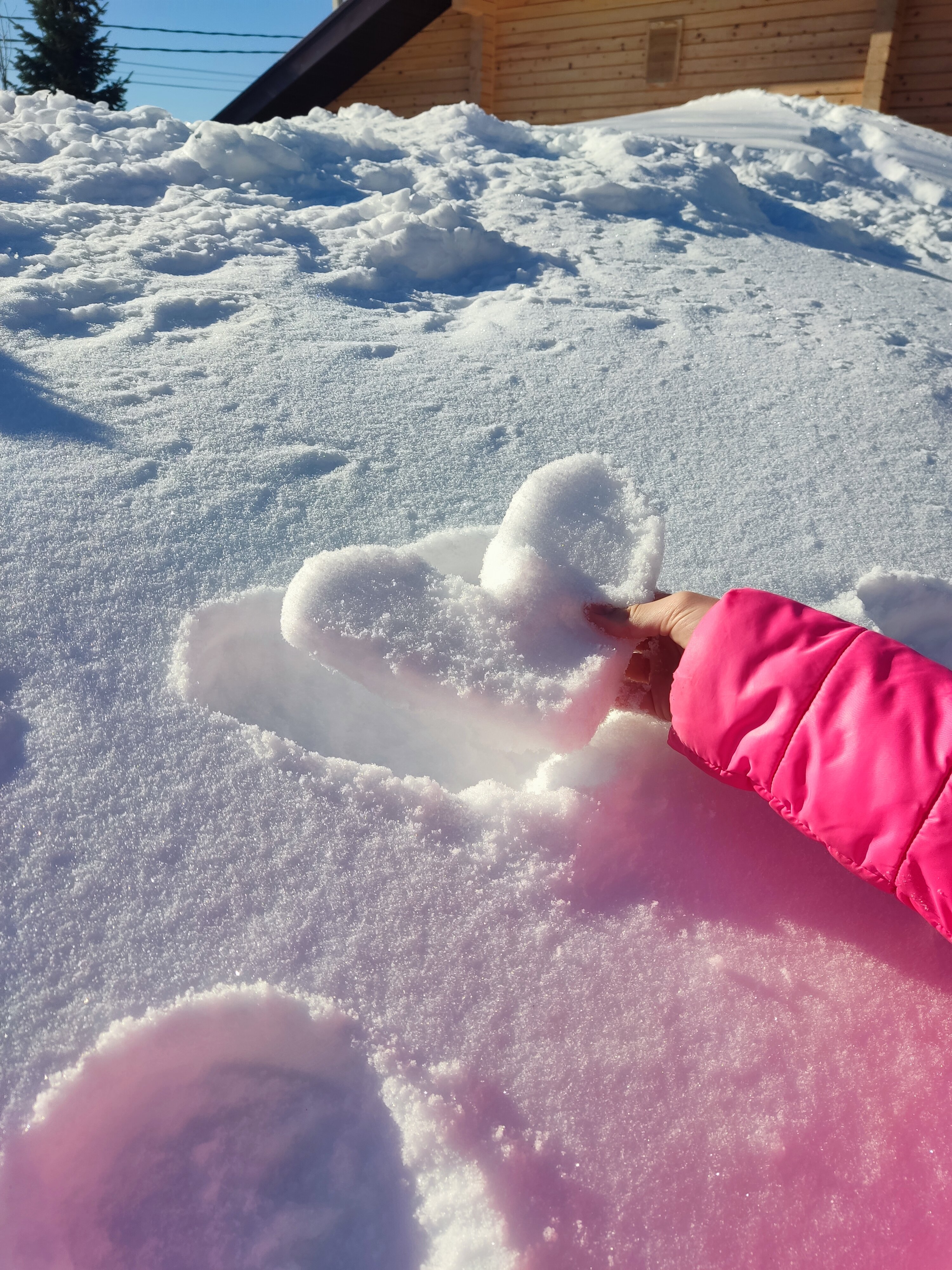 Фото Альпийский Home Club