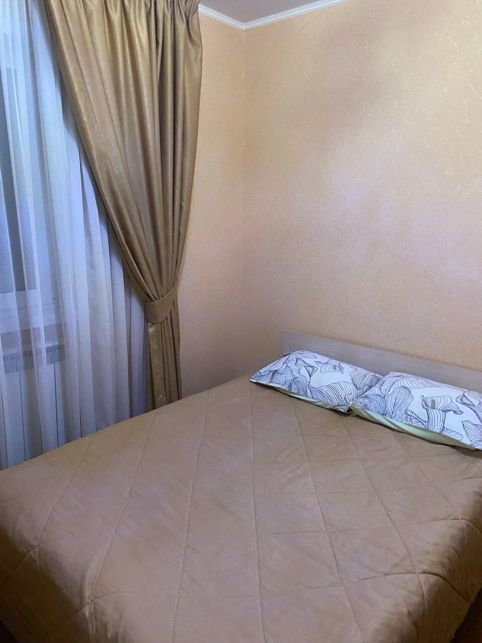 Фото Эдельвейс