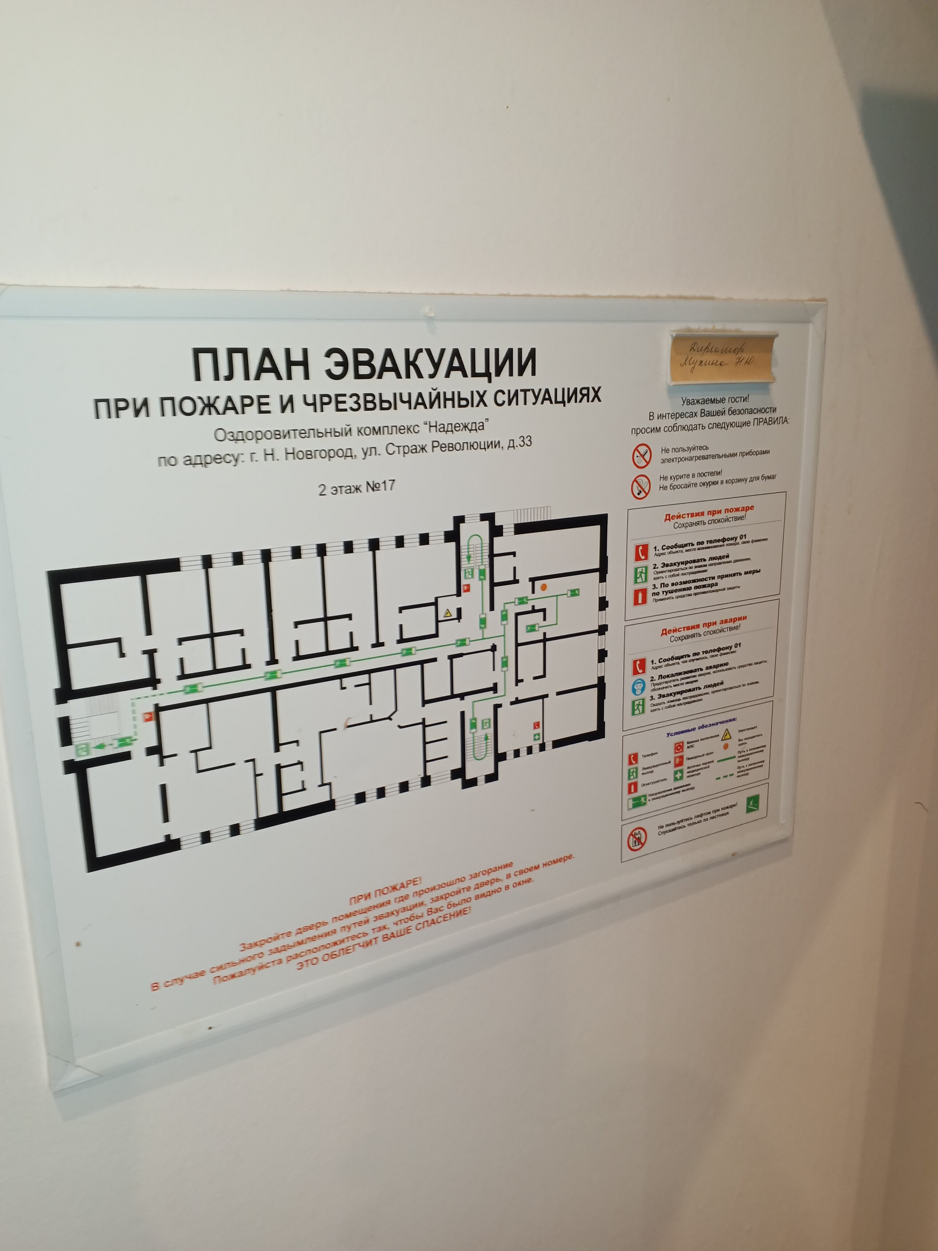 Фото Надежда