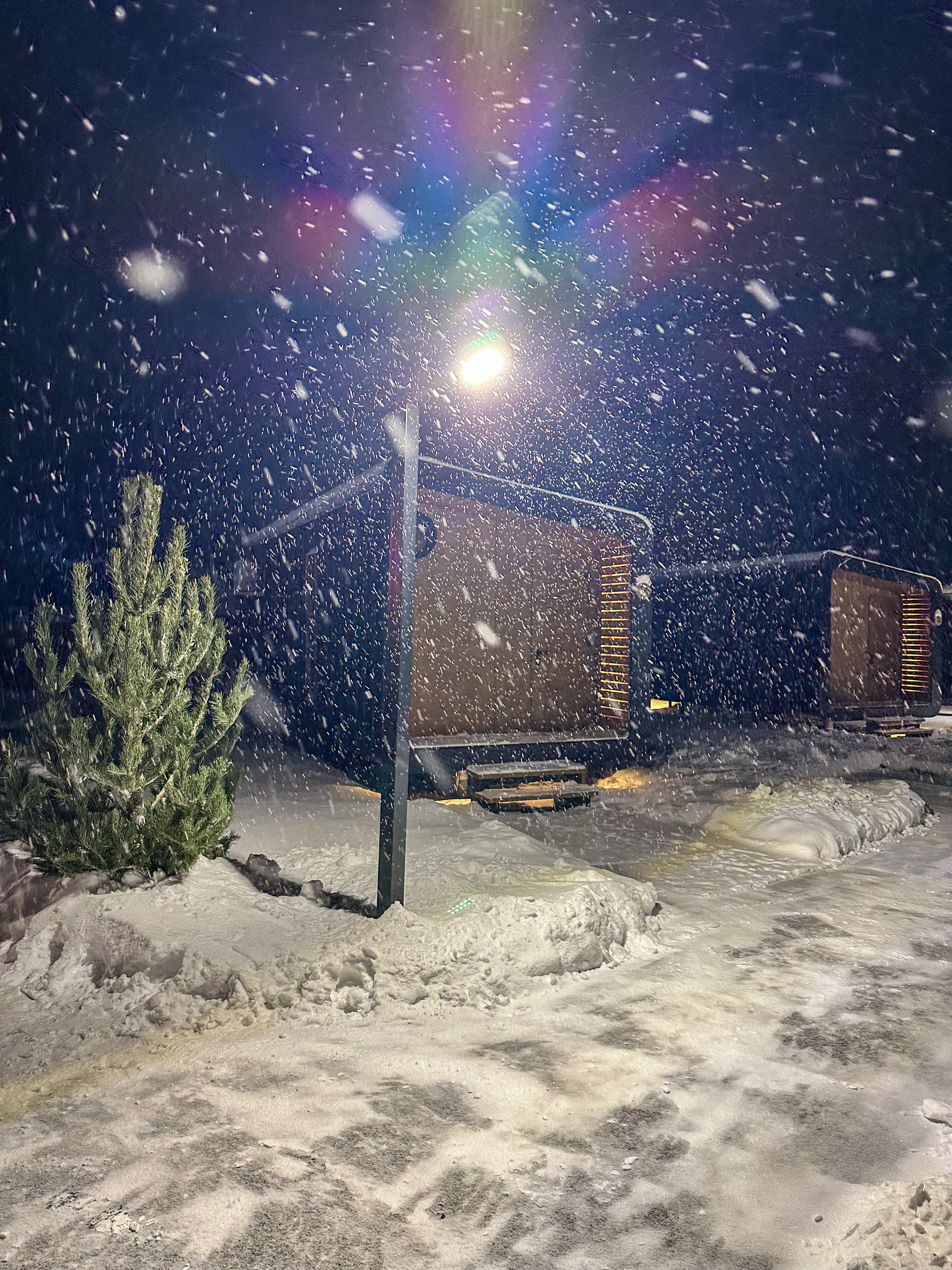 Фото Яблоко