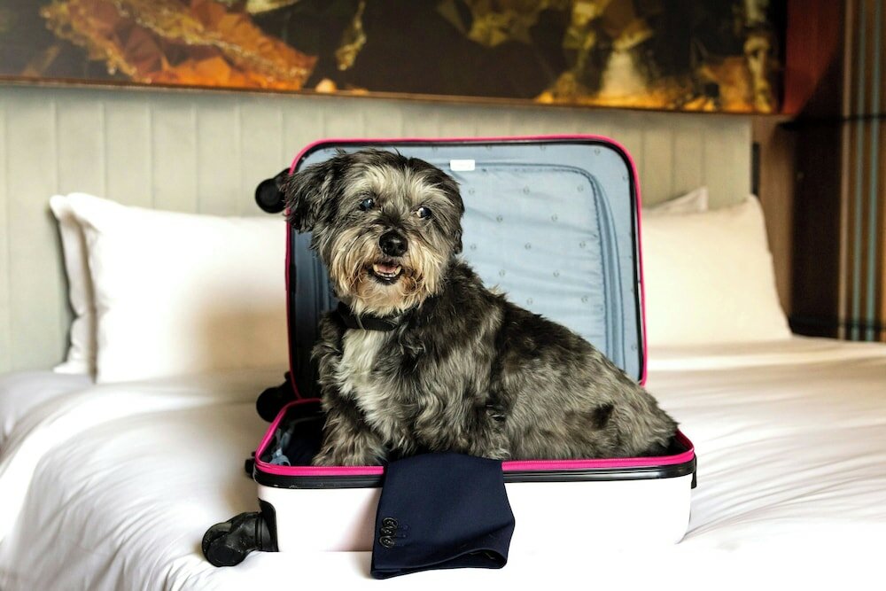 Фото Renaissance Amsterdam Hotel