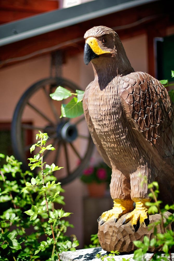 Фото Penzion Plesnivec