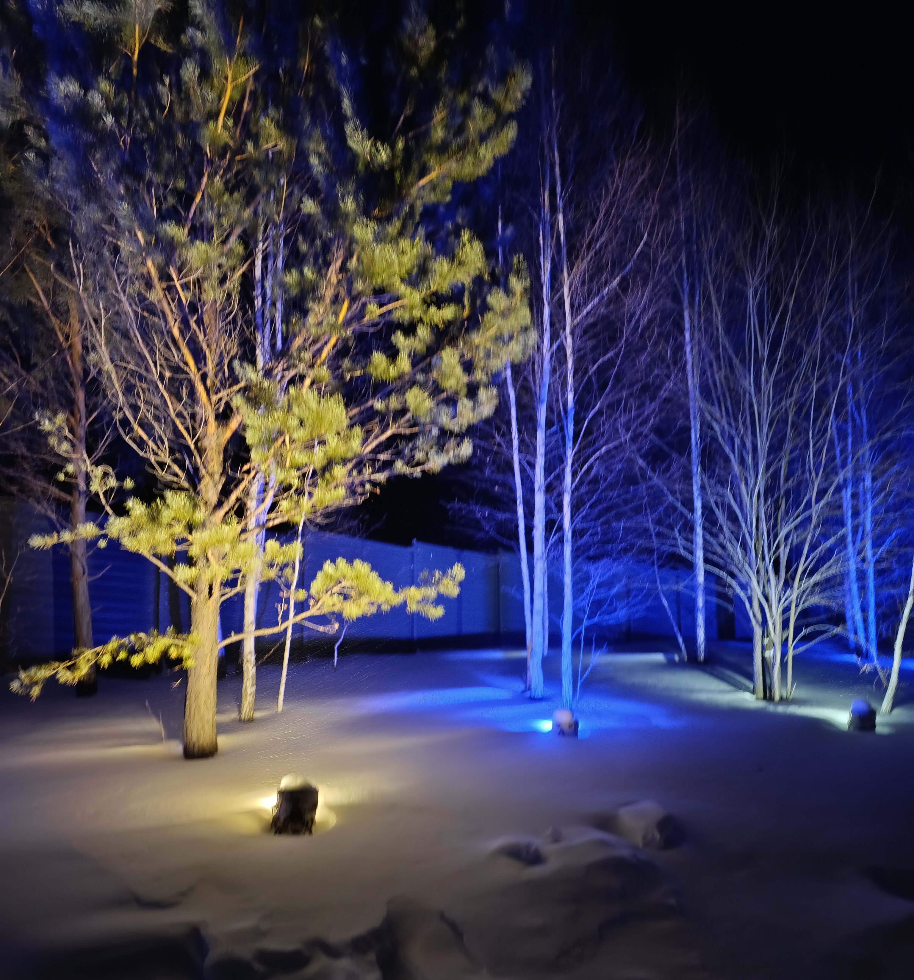 Фото Вдохновение природы