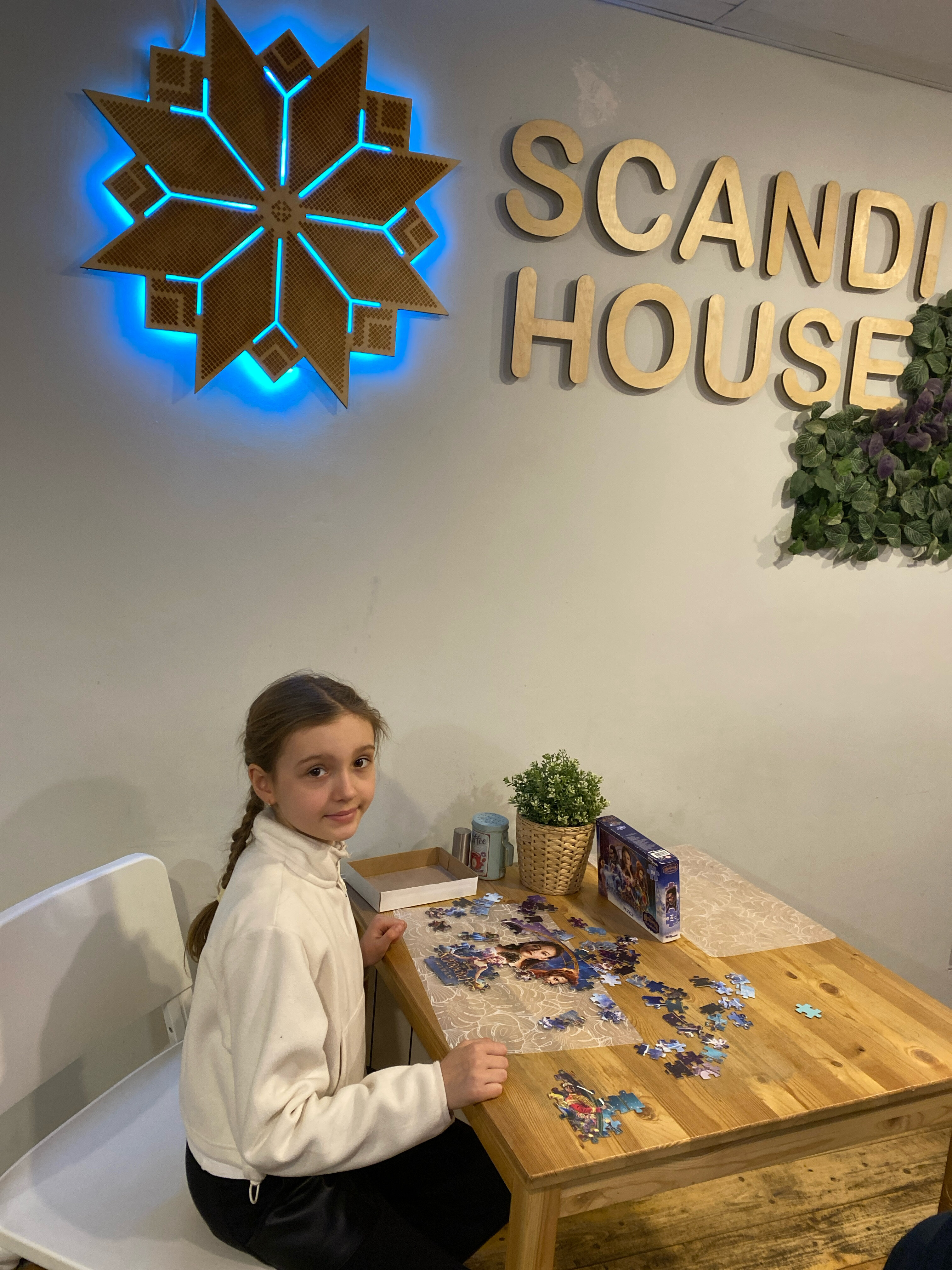 Фото Сканди Хаус