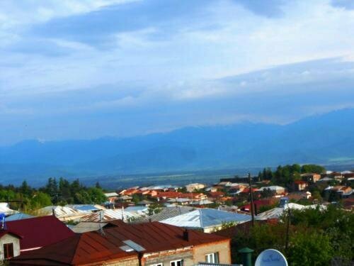 Гостиница Hotel Neli Telavi в Телави