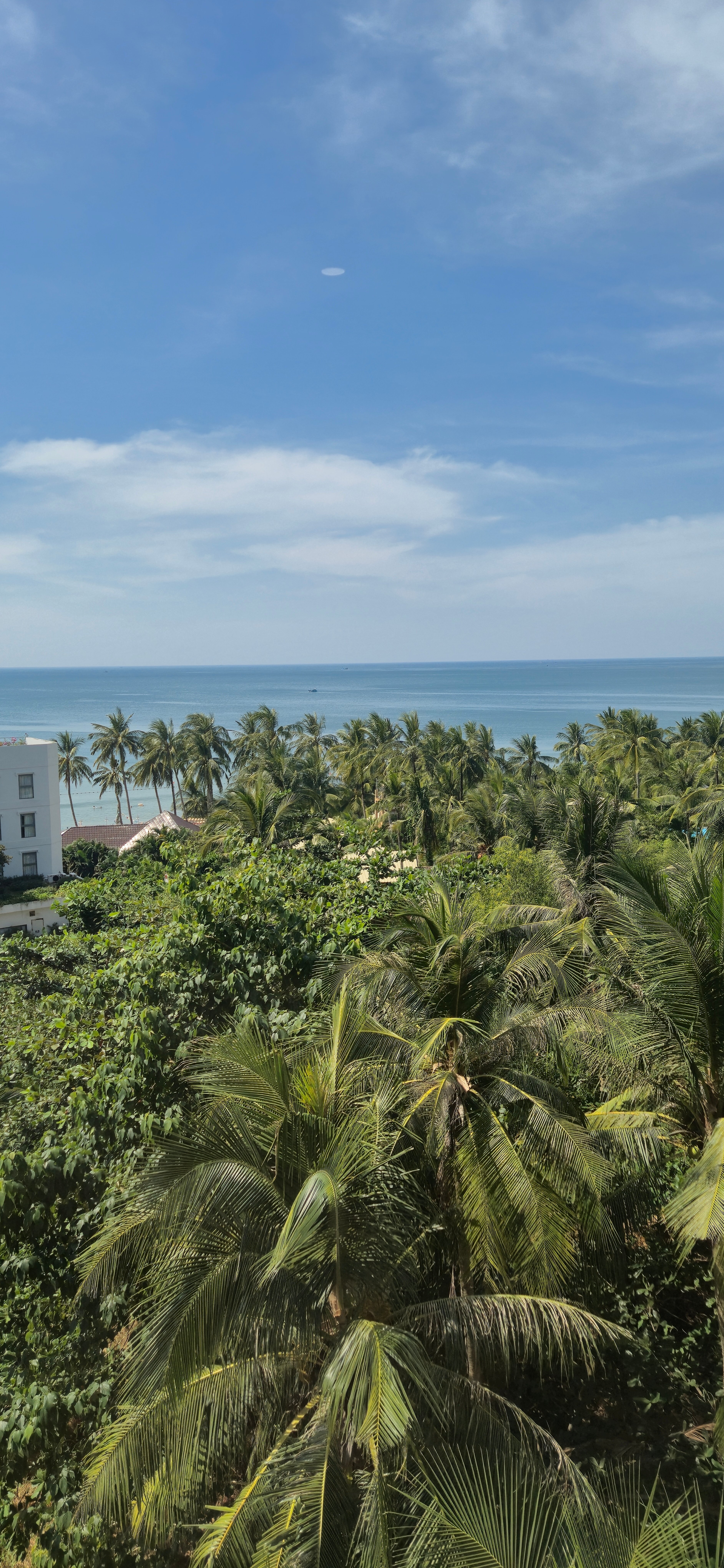 Фото Avs Hotel Phu Quoc