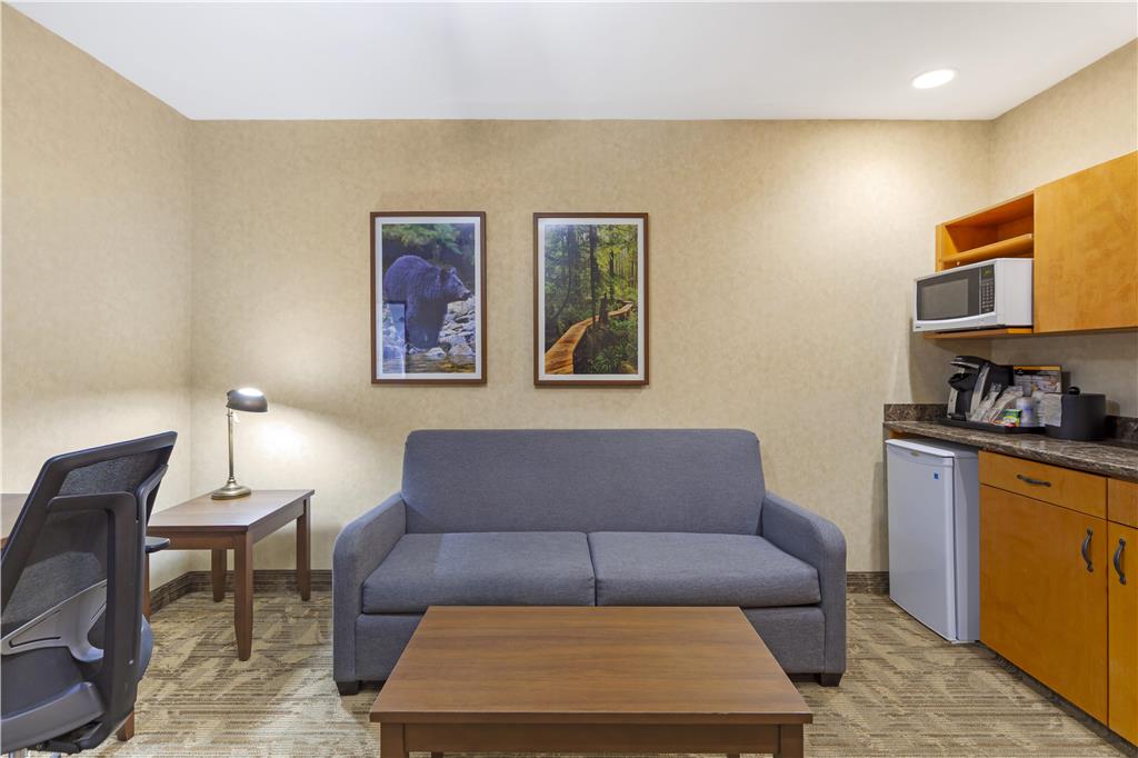 Фото Best Western Plus Valemount Inn & Suites