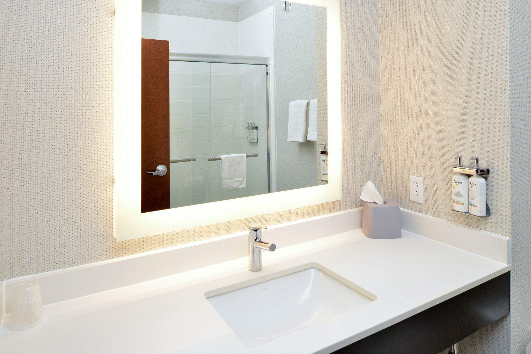 Фото Holiday Inn Express & Suites Carthage