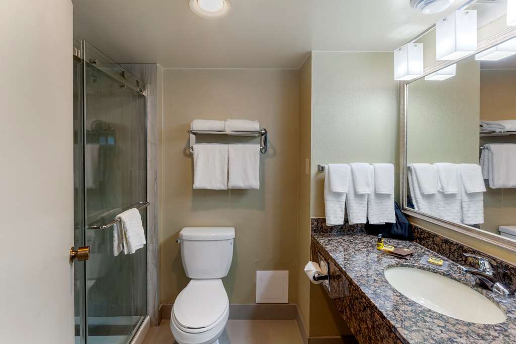 Фото Best Western Plus Toronto Airport Hotel