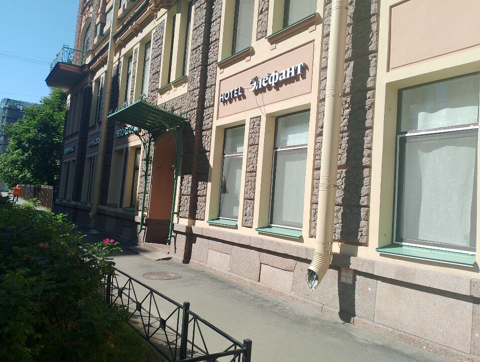 Фото Элефант